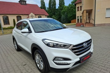 Kupiony w Polsce - pierwszy właściciel - benzyna - 1,6 - 132 KM