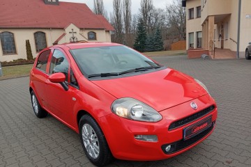 Zarejestrowany - ubezpieczony - wersja Young