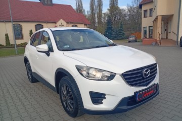 Kupiony w Polsce - benzyna - 2,0 - 164 KM