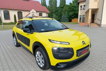 Kupiony w Polsce - benzyna - kamera