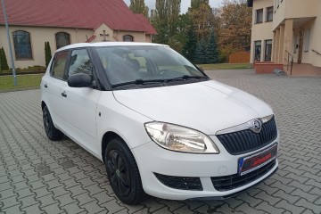 Zarejestrowany - ubezpieczony - benzyna - 1,2 - 60 KM