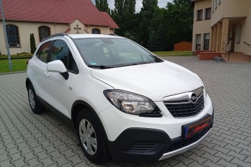 Zarejestrowany - ubezpieczony - benzyna - 1,6 - 116 KM